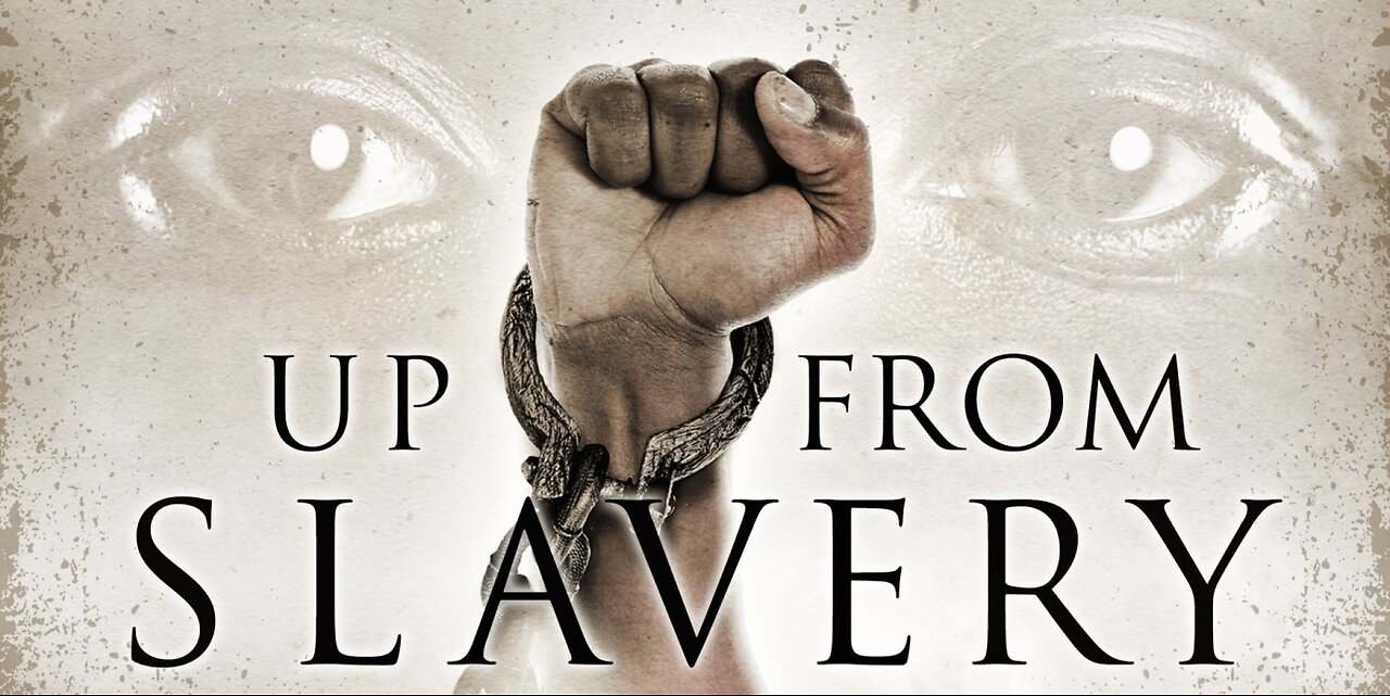 Blacks Are Still Confederate Slaves