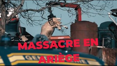 Dermatose nodulaire - Carnages en bande organisée