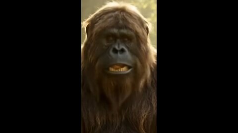 Fun. Bigfoot fishing hack