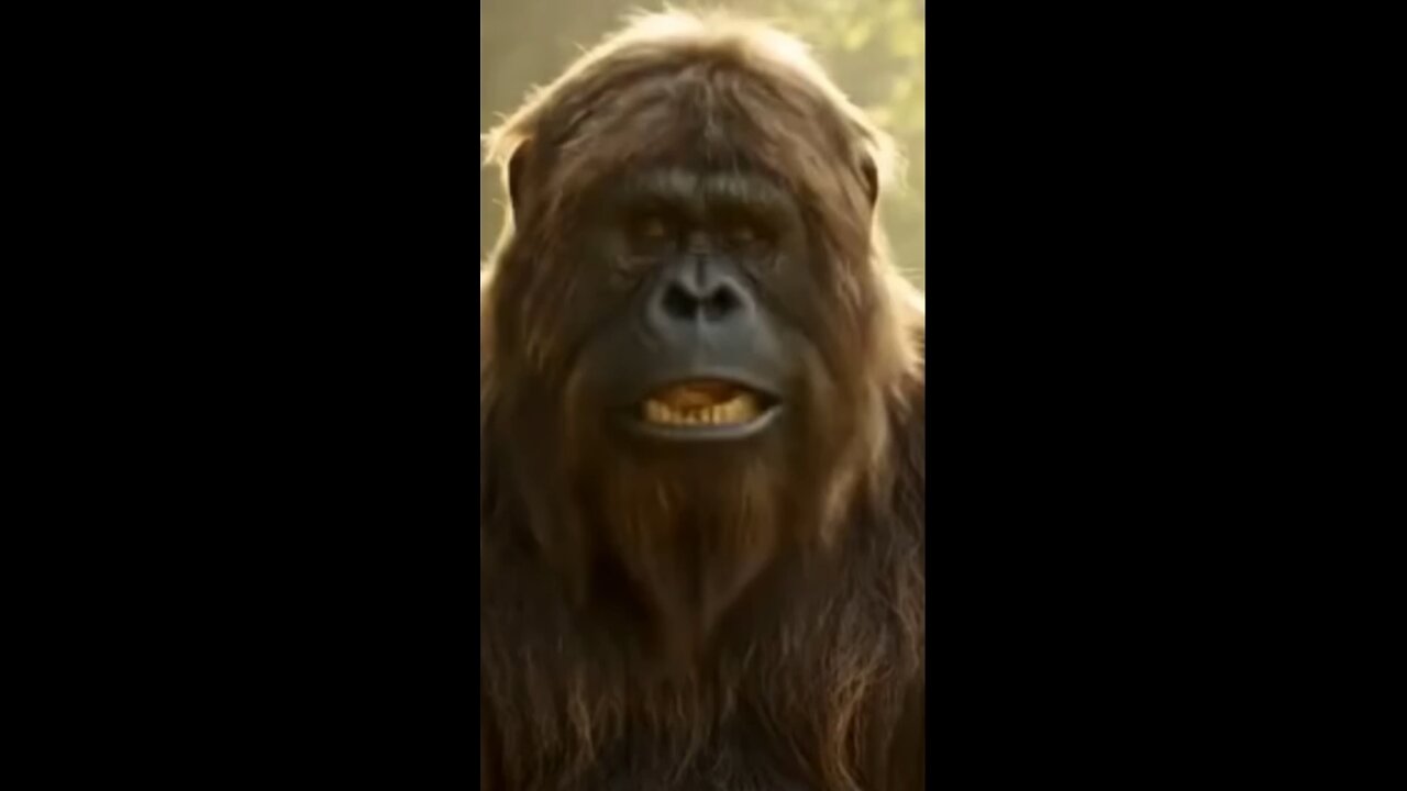 Fun. Bigfoot fishing hack