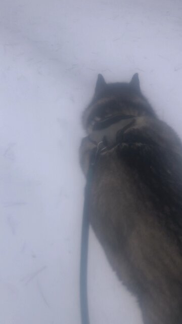 Monday December 29, Shout with joy to the Lord.