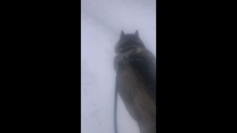 Monday December 29, Shout with joy to the Lord.