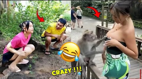 Try Not To Laugh Challenge 😂 ▶ LEVEL 1 | Instant Regret Fails Compilation 2025