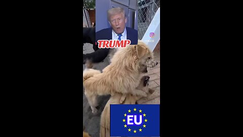 Trump ain't playing