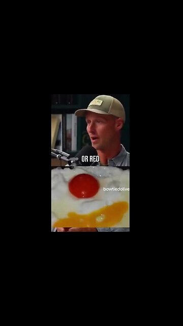 Synthetic additives to chicken feed to change the yolk color