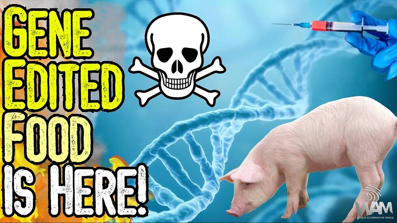 GENE EDITED FOOD IS HERE! - FDA Approves Zombie Pork As Supply Chain Collapses & AI Takes Over!