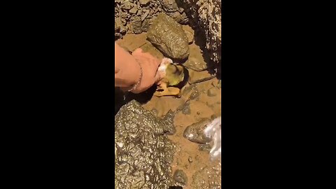 # I caught a weird fish 😂🐠😂😂
