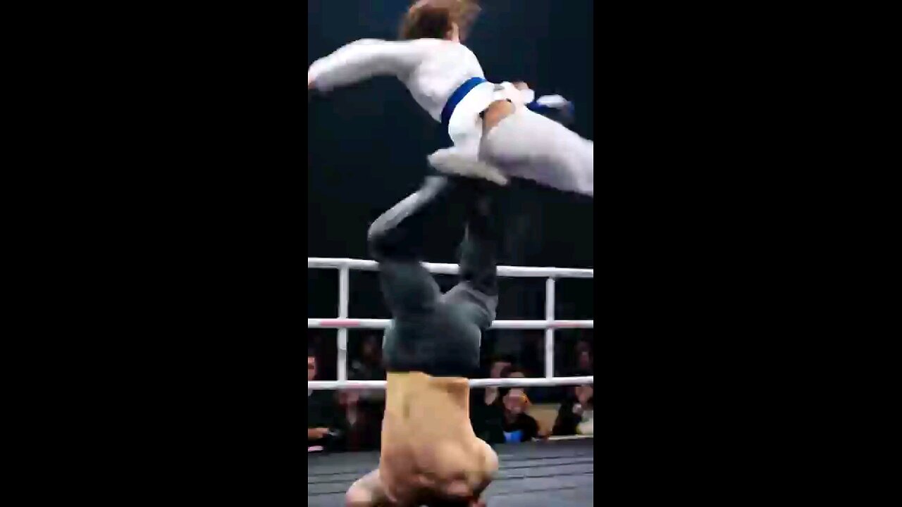Kung fu girl fight