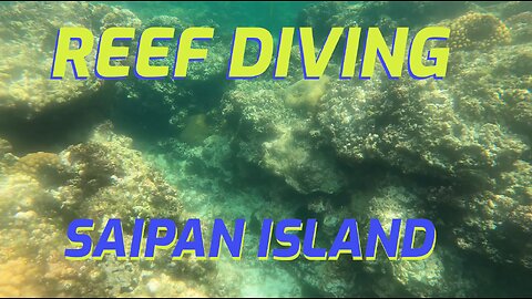 REEF DIVING! Saipan Island! CNMI 4K 사이판 섬