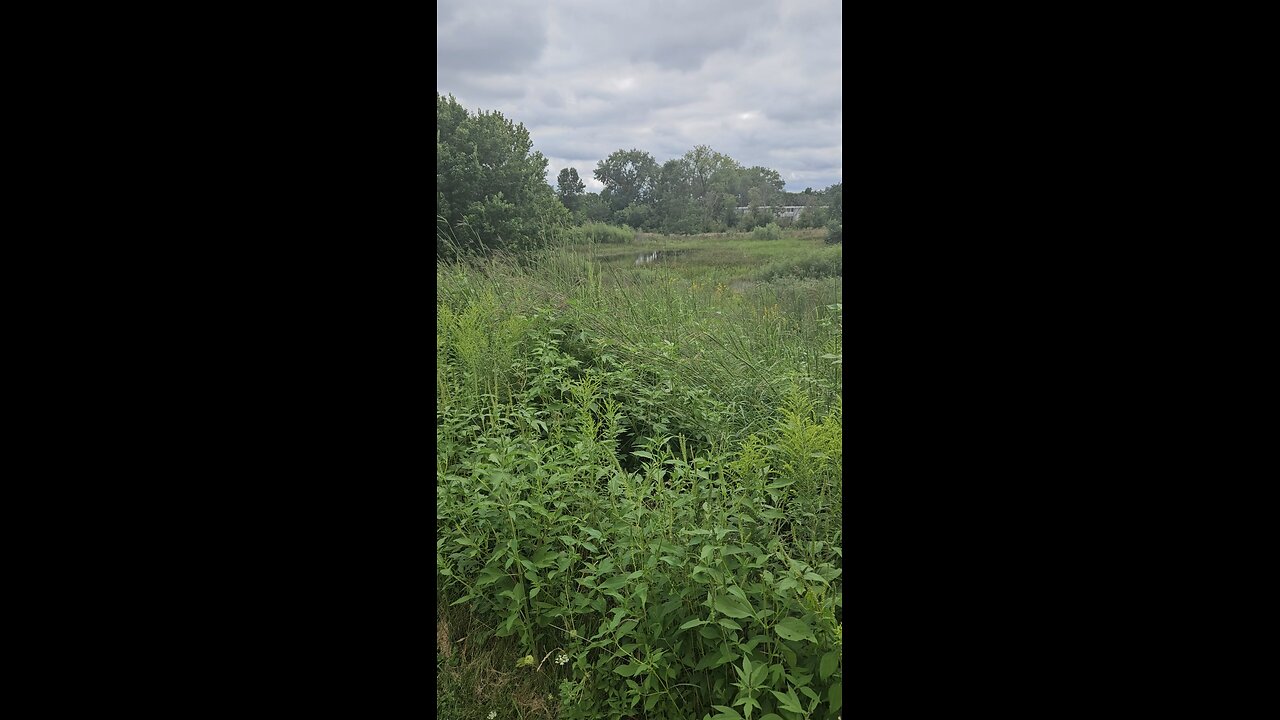 Fishbone Pond is Full Again