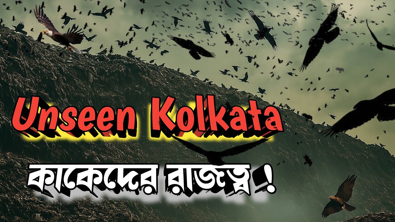 The Dark Side of Kolkata | বরাহনগরের আবর্জনার পাহাড় | The Crow Kingdom