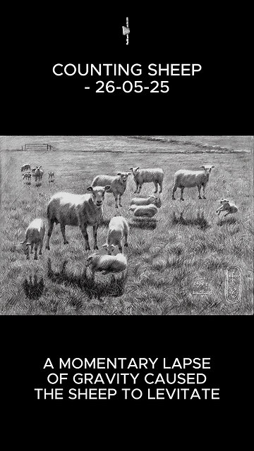 Counting Sheep – 26-05-25