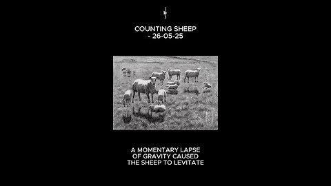 Counting Sheep – 26-05-25