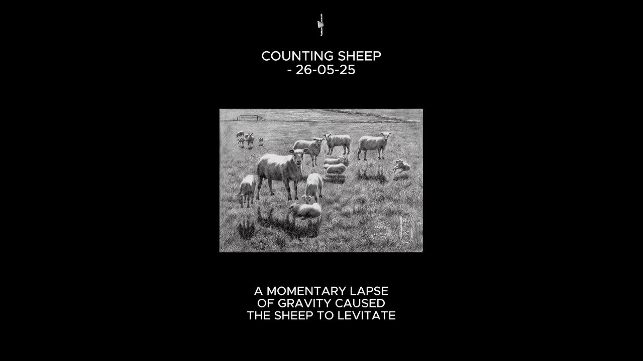 Counting Sheep – 26-05-25
