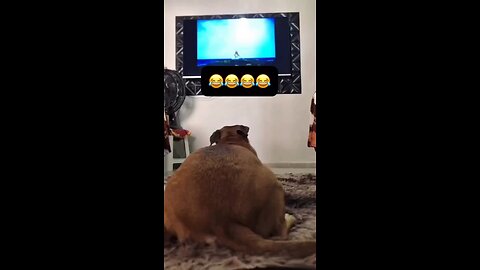 Dog butts Dancing
