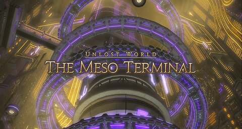 Final Fantasy 14 The Meso Terminal- Duty Support