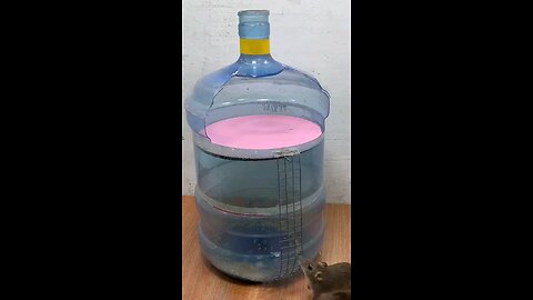 satisfying Video