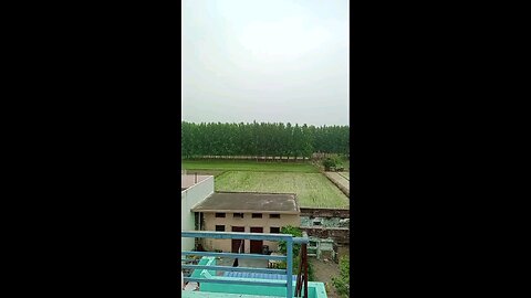 satisfying Video