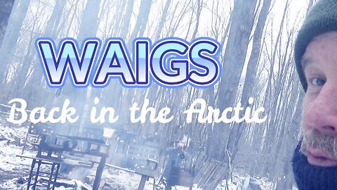 WAIGS Back to the Arctic