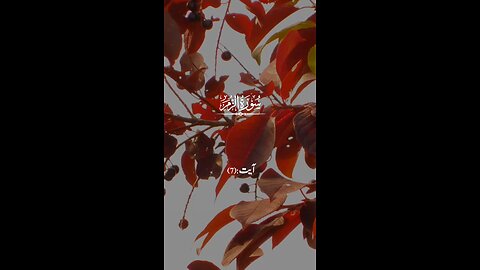 Quran, peaceful quran recitation