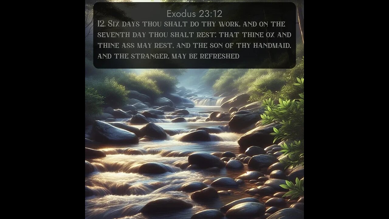 Sunday Talk with Jamal 31/08/25 Exodus 23 12