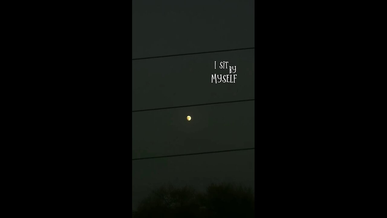 moon 🌝