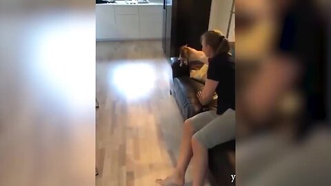 funny animals ai 2025