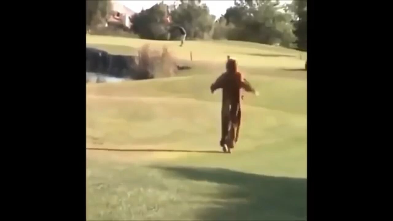 old funny comedy
