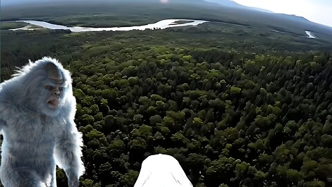 View Of amazing forest 🥰
