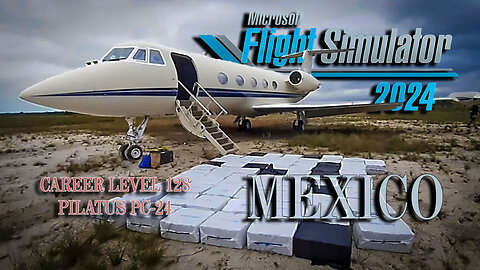PC-24 Failed "Delivery" - Microsoft VR DR Simulator