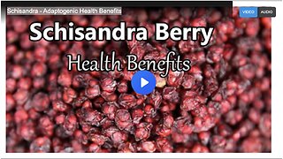 Schisandra - Adaptogenic Health Benefits