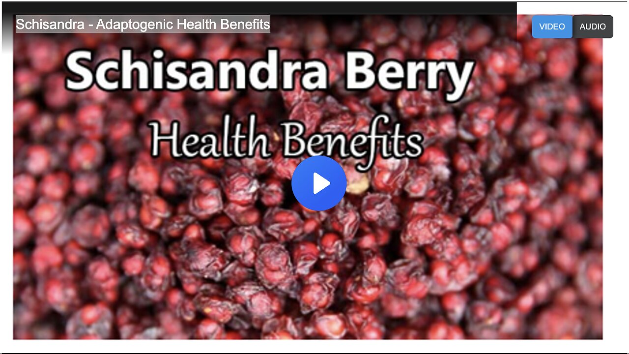 Schisandra - Adaptogenic Health Benefits