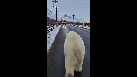 Funny videos you ever seen💖👍