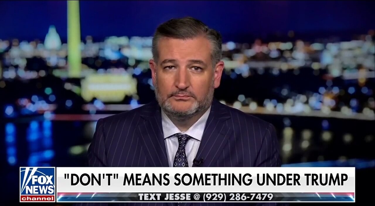Sen Ted Cruz: It Shouldn’t Surprise Anyone that CNN Is Throwing Rocks at the Sidelines
