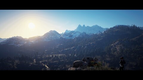 Red Dead Redemption 2 - 100% completion