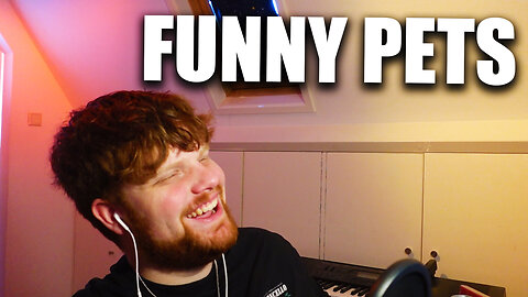Reacting to funny pets #1