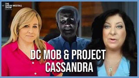 How the DC Mob attacks Whistlebowers, Project Cassandra & Life in Moscow w_ Tara Reade