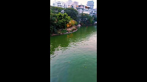 4k stock footage of lake, building and yellow lighting at dusk