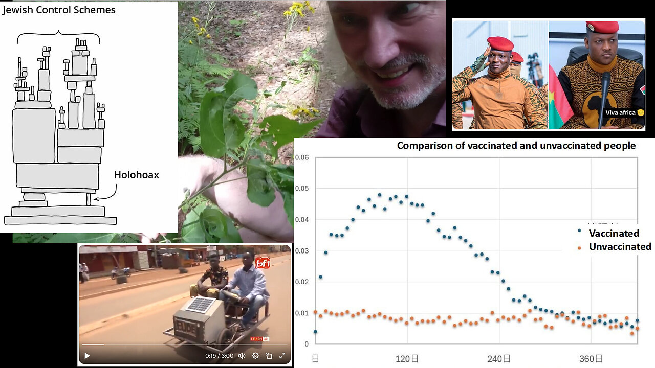 3.5% morons rule. Me schizoid? Bitcoin's USAID race. OpenAI crisis. Pedos. Sahel progress. Duck rice