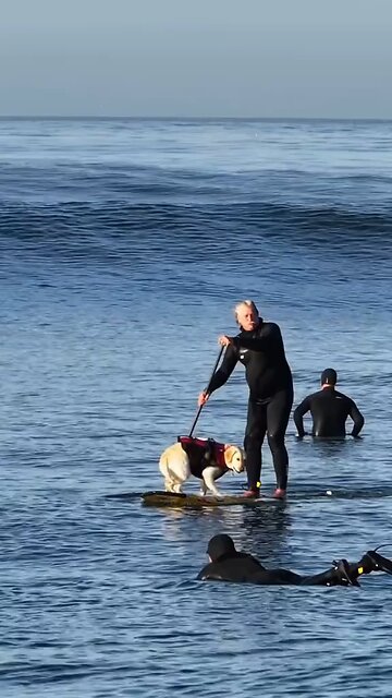 Love All Life Always #359 - Surf's Up!