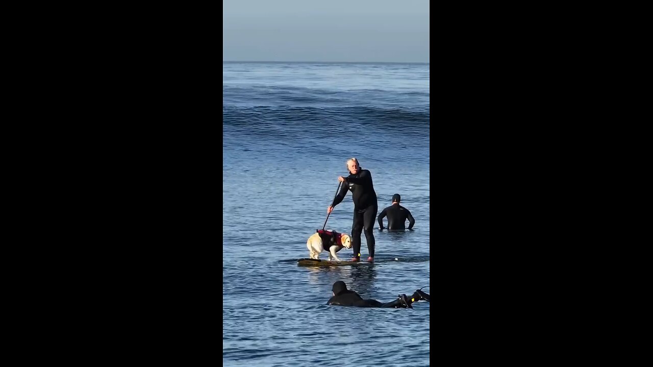 Love All Life Always #359 - Surf's Up!