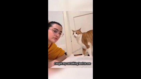 #Copycat