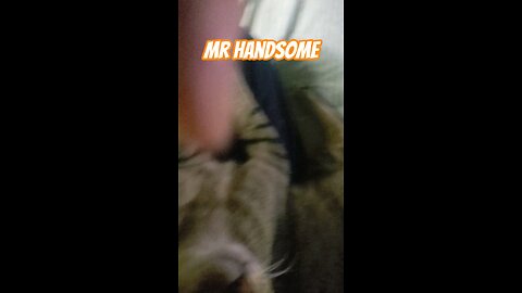 Thats One Handsome Sonuvabitch