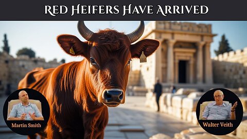 Walter Veith & Martin Smith - Red Heifers Have Arrived, Antichrist In Temple In Israel 2024