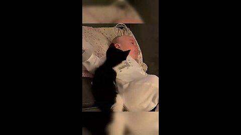Cats love baby.