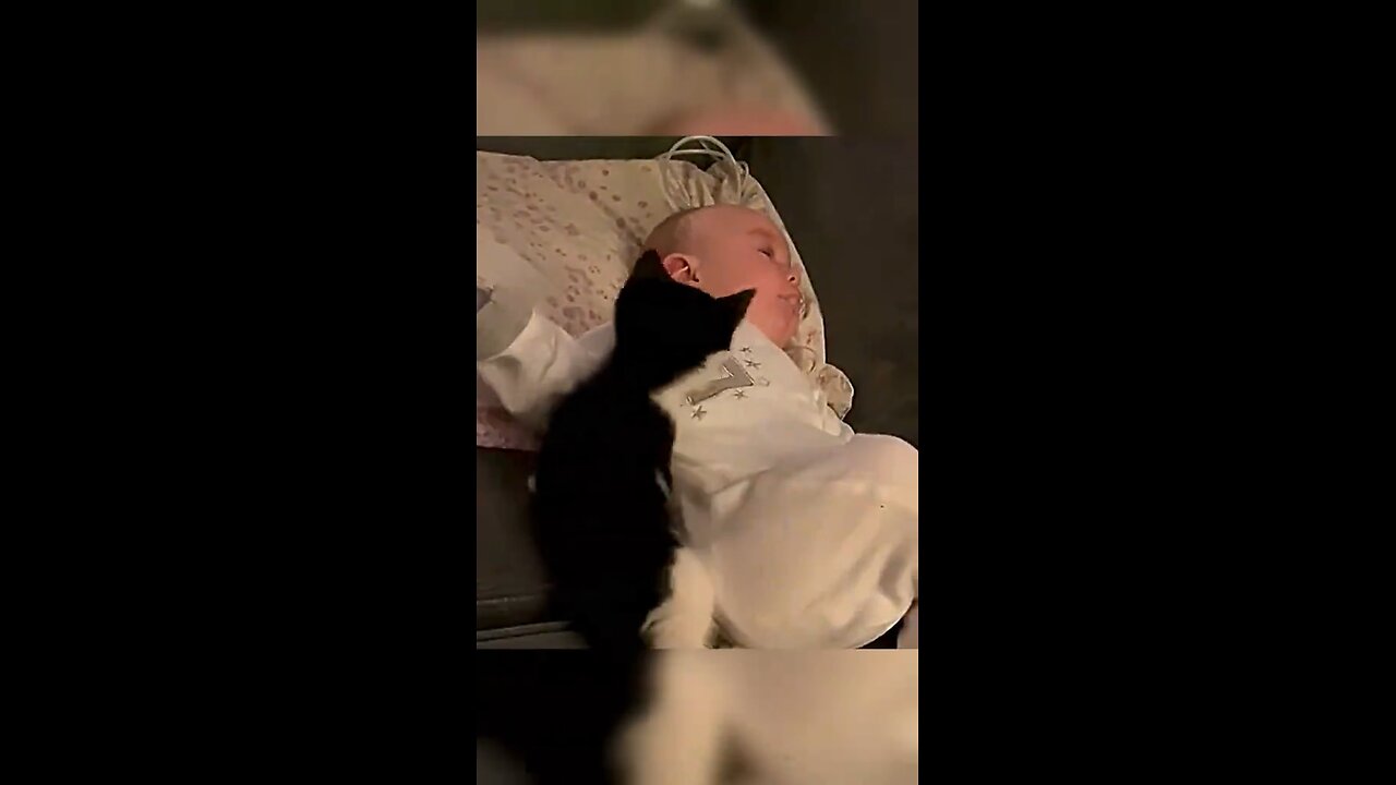 Cats love baby.