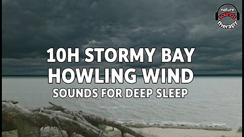 10H Sounds for Deep Sleep | Stormy Bay & Howling Wind | Nature's Powerful White Noise