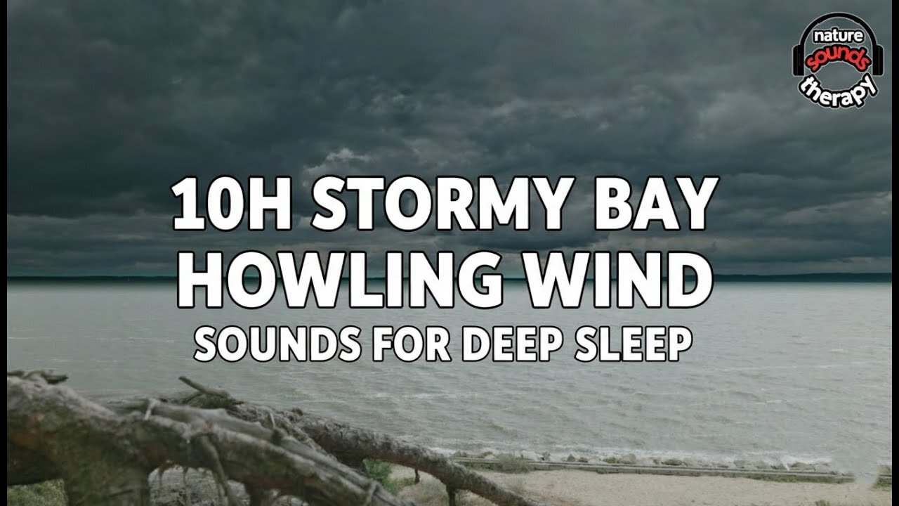 10H Sounds for Deep Sleep | Stormy Bay & Howling Wind | Nature's Powerful White Noise