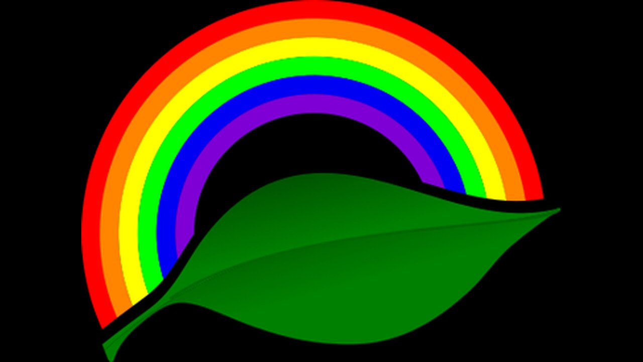 BGS IBMOR & the "Grynch-ocracy"