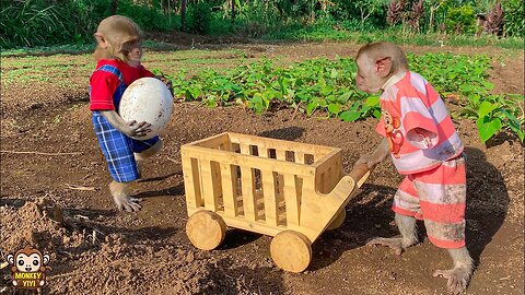 YiYi helps YinYin harvest the giant strange egg